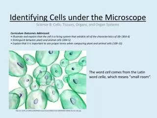 Identifying Cells under the Microscope