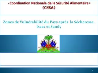 «  Coordination Nationale de la Sécurité Alimentaire» (CNSA)