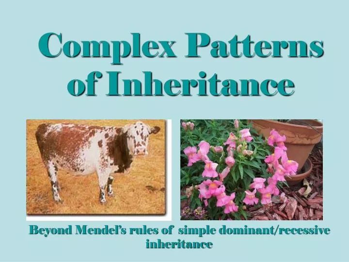 complex patterns of inheritance