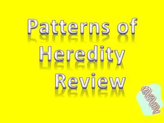 Patterns of Heredity	Review