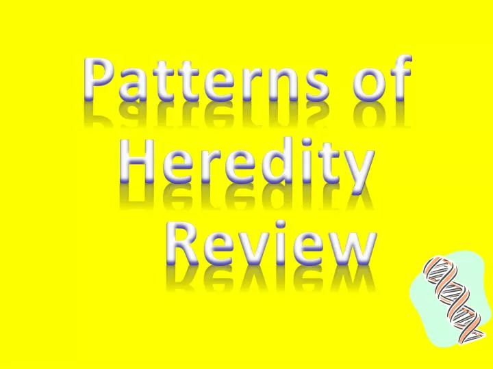patterns of heredity review