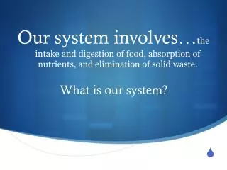 What is our system?