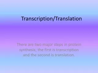 Transcription/Translation