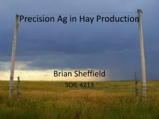 Precision Ag in Hay Production
