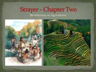 Strayer - Chapter Two