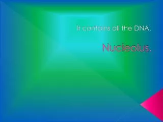 Nucleolus.