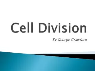 Cell Division