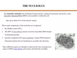 THE NUCLEOLUS