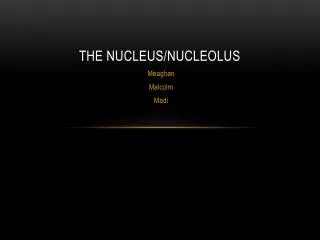 The Nucleus/Nucleolus