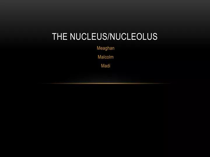 the nucleus nucleolus