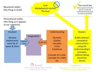 Noumenal reality (the thing-in-itself)