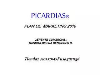 plan de marketing 2010