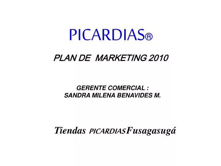 plan de marketing 2010