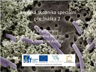 Lesnická botanika speciální přednáška 2 1.Fylogeneze 2. Doména Bacteria 3. Doména Archea