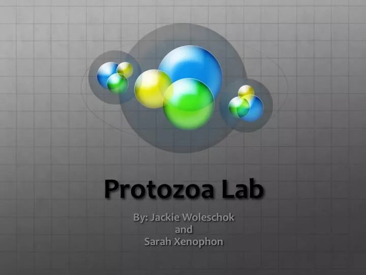 protozoa lab