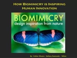 How Biomimicry is Inspiring Human Innovation