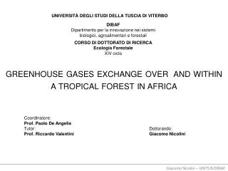 greenhouse gases exchange over and within a tropical forest in africa