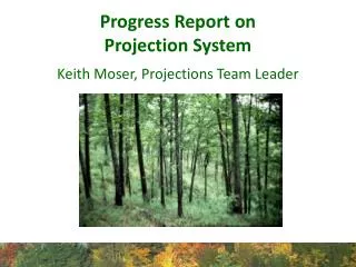Progress Report on Projection System