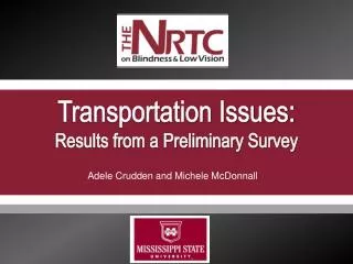 Transportation Issues: Results from a Preliminary Survey