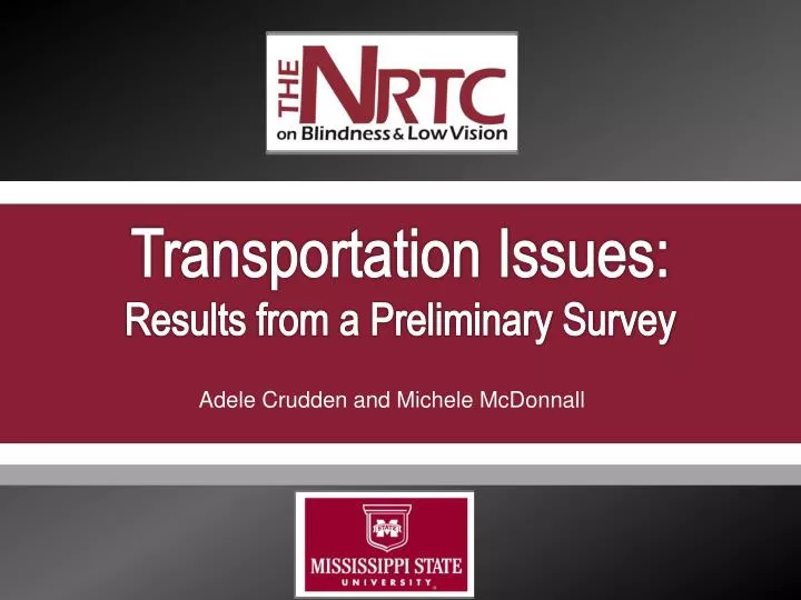 transportation issues results from a preliminary survey
