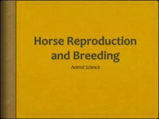 Horse Reproduction and Breeding