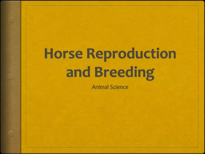 horse reproduction and breeding