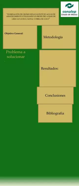 problema a solucionar
