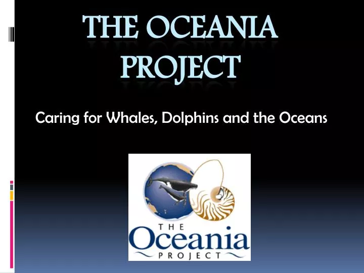 caring for whales dolphins and the oceans