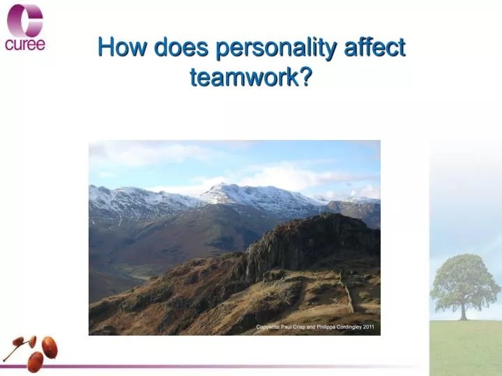 how does personality affect teamwork