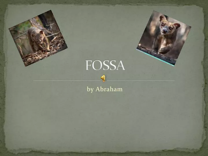 fossa