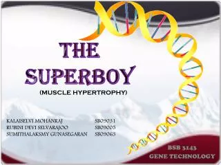 THE SUPERBOY