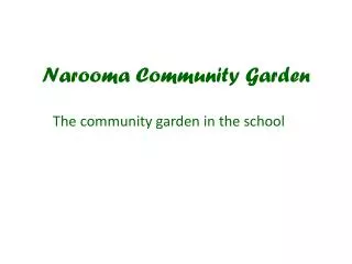Narooma Community Garden