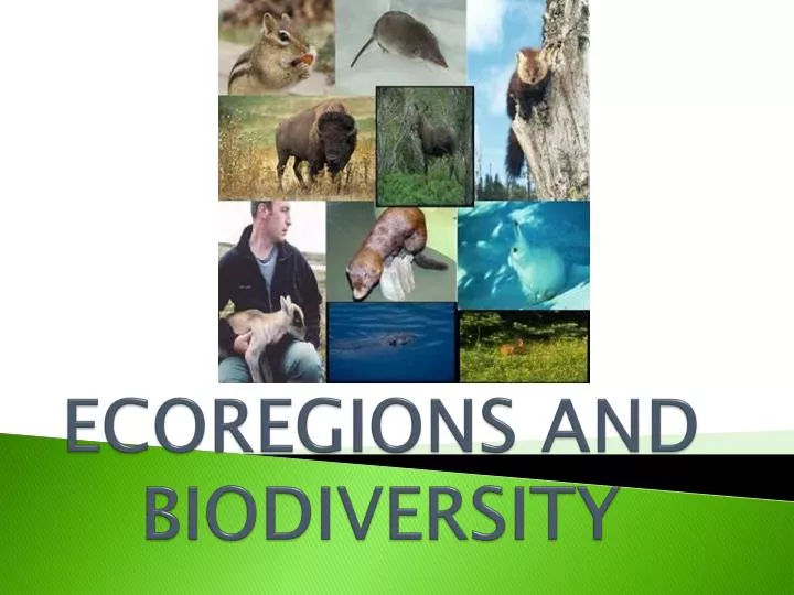 ecoregions and biodiversity