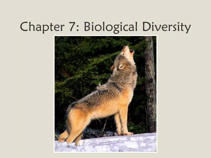 chapter 7 biological diversity