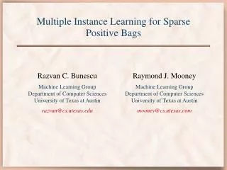 Multiple Instance Learning for Sparse Positive Bags