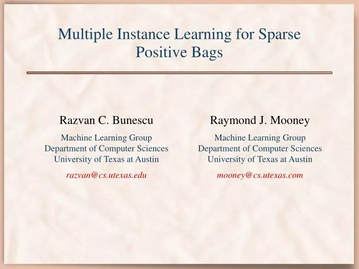 multiple instance learning for sparse positive bags