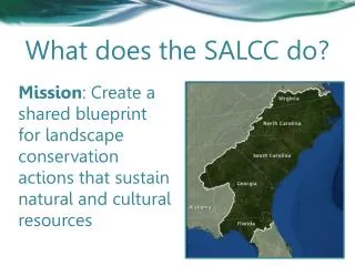 What does the SALCC do?