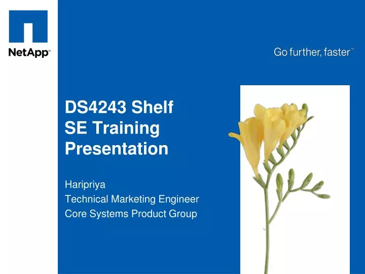 ds4243 shelf se training presentation