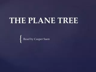 THE PLANE TREE