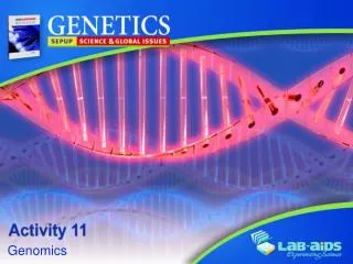 activity 11