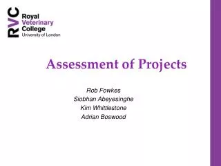 Assessment of Projects