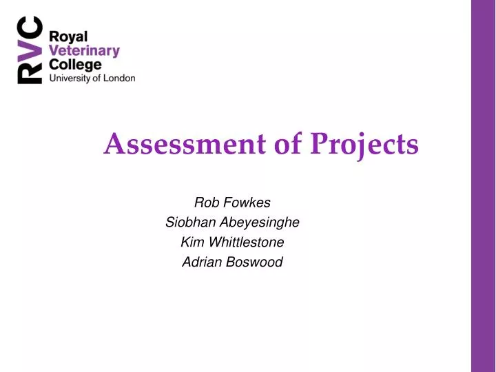 assessment of projects