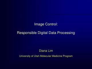 Image Control: Responsible Digital Data Processing