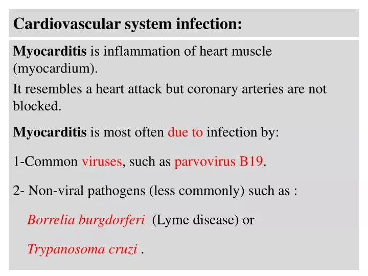 cardiovascular system infection