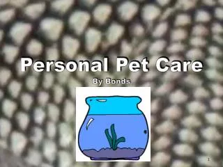 Personal Pet Care By Bonds