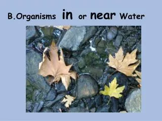B.Organisms in or near Water