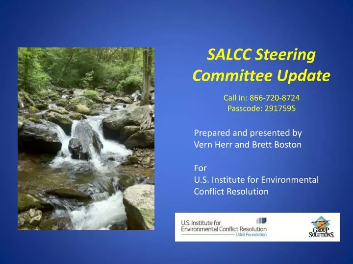 salcc steering committee update