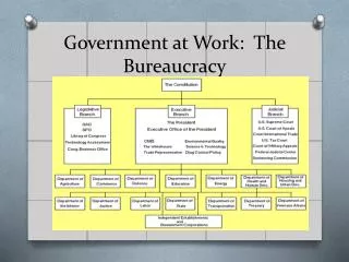 Government at Work: The Bureaucracy