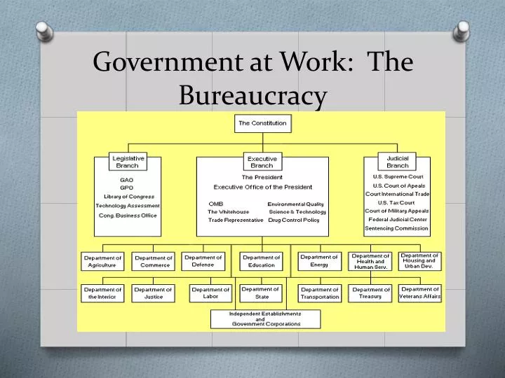 government at work the bureaucracy