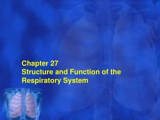 Chapter 27 Structure and Function of the Respiratory System